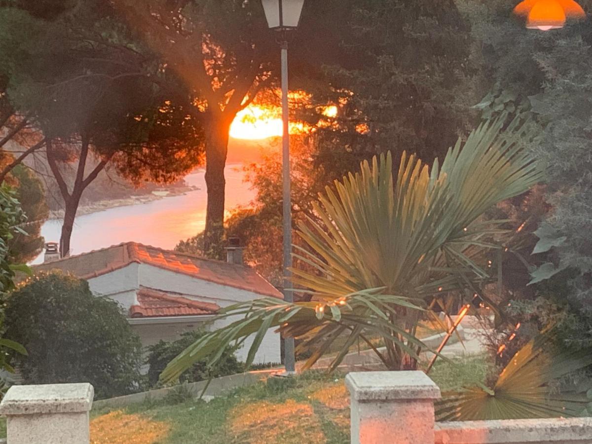 הוילה San Martín de Valdeiglesias La Casita De Noe Con Vista Al Pantano De San Juan מראה חיצוני תמונה